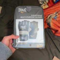 everlast Multi-purpose Globes 