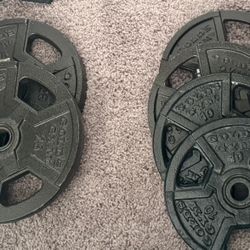 Gold’s Gym Weight Plates