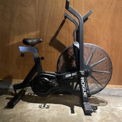 Rogue Echo Bike