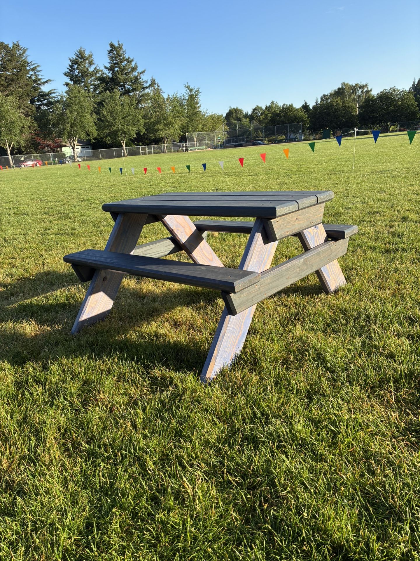 Custom Heavy Duty Kids Picnic Tables