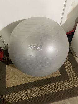 Large exercise ball