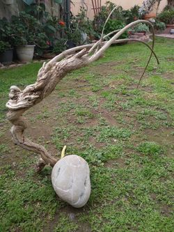 Natural Driftwood For Aquariums Terrariums Decor 