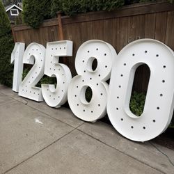 Marquee numbers celebration anniversary birthday  light up