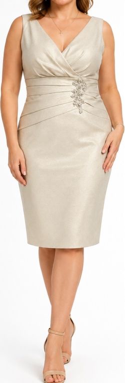 Elegant dress. Size 14. $36.