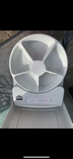 Dog feeder a timer for small dogs