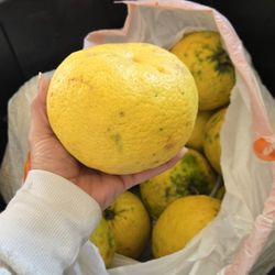 Free Lemons