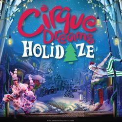 Cirque Dreams Holidaze Mahaffey Theater 4 