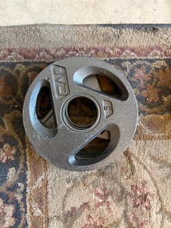 10lb weight plates pair