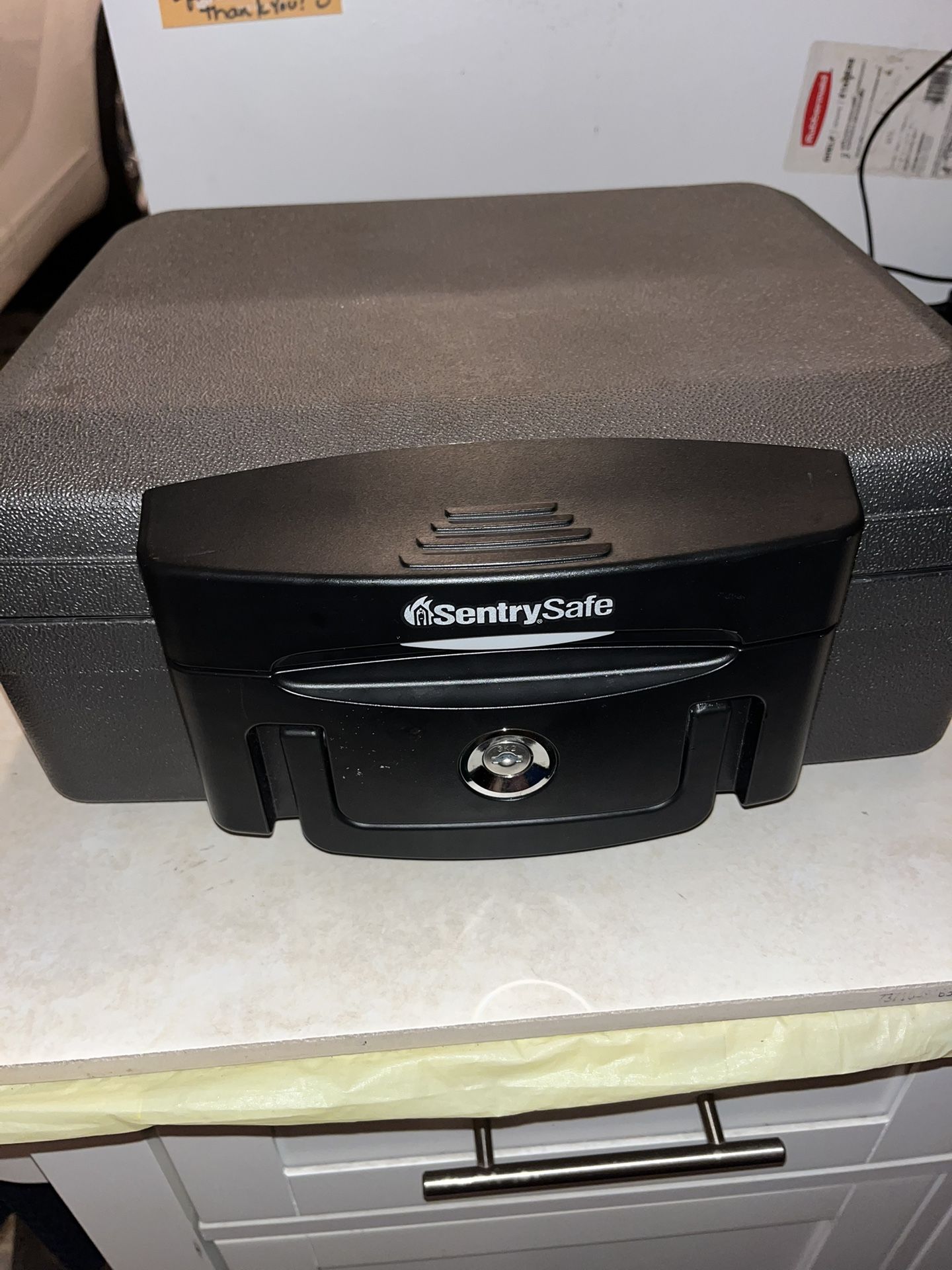 SentrySafe R4132 Fireproof/waterproof Key Locked Safe