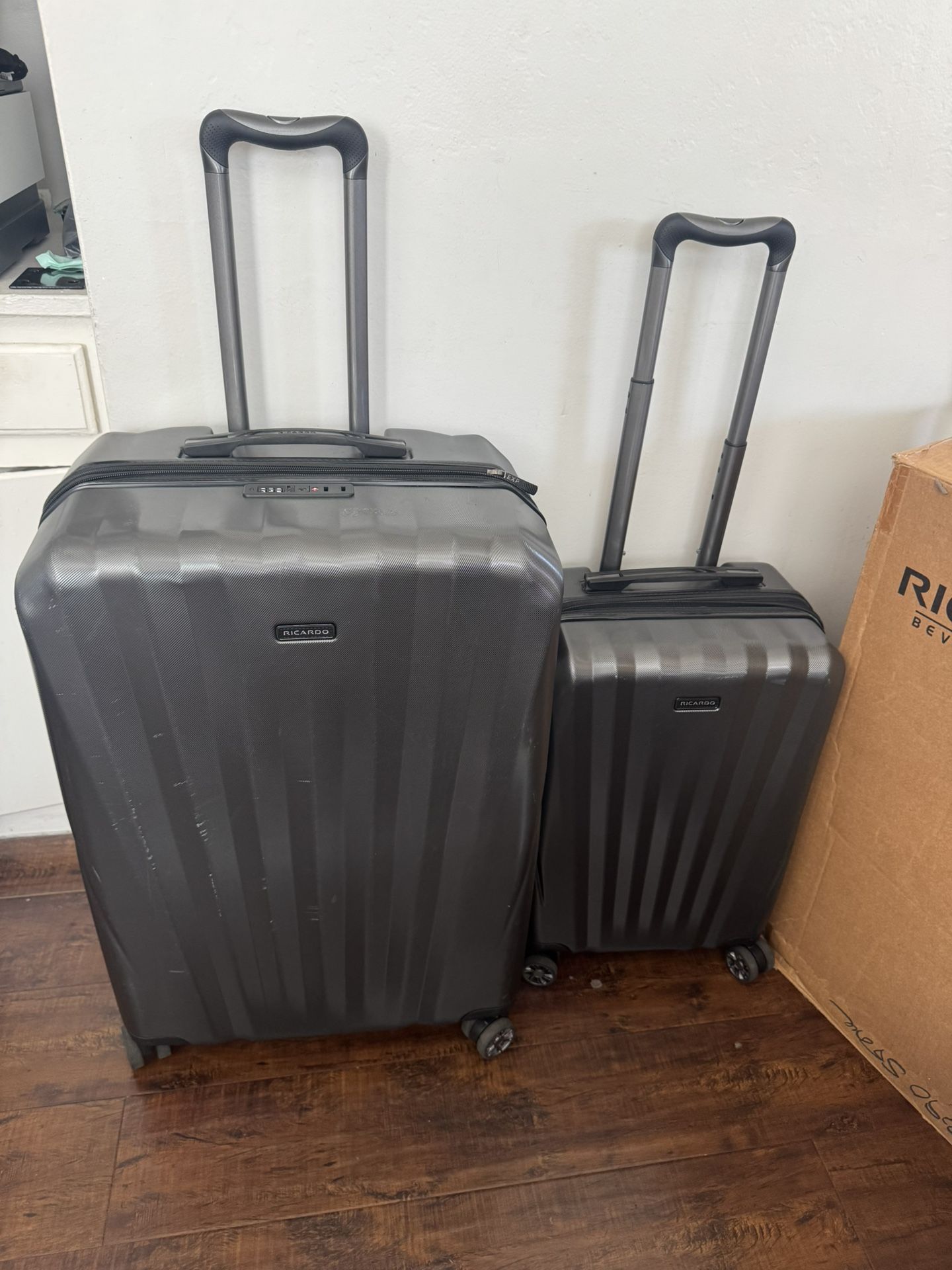 Ricardo Beverly Hills Windsor 2 Piece Luggage Set Graphite 