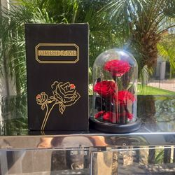 Preserved Flower