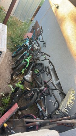 Free bikes