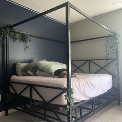 Bed frame, mattress, box spring
