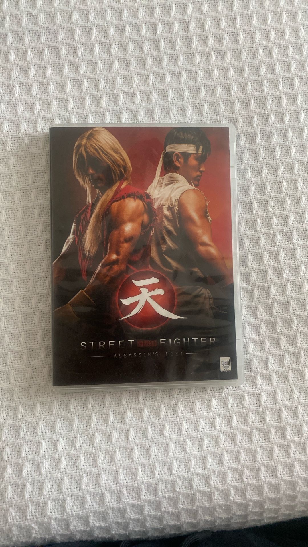 Street Fighter DVD Movie