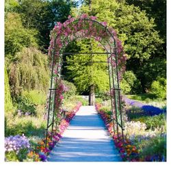 Arch 