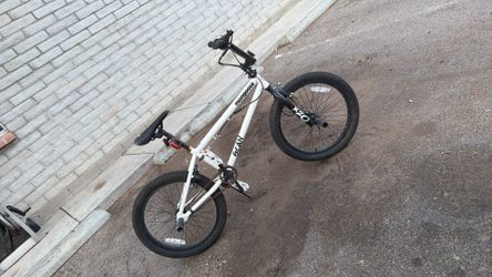 Mongoose