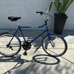 Fitness Mountain Bike 