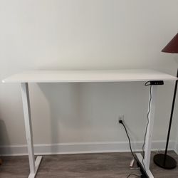 55” Standing Desk