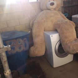 Giant Teddy Bear