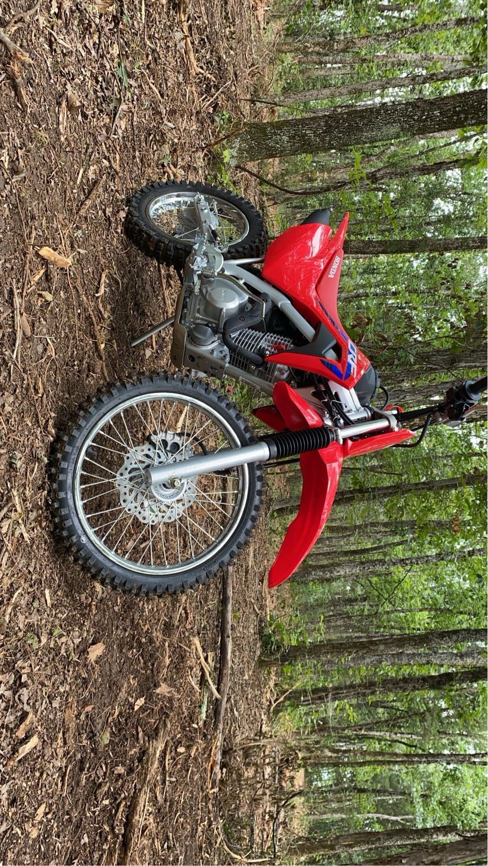 2023 Honda Crf 125