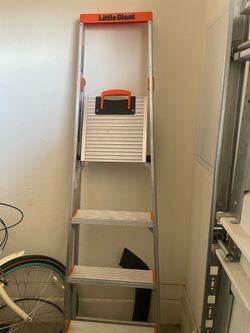 Little Giant Ladder