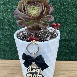 Succulent With Dog Mom Key Chain