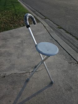 Walking Stick (cane)