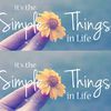 TheSimple ThingsInLife