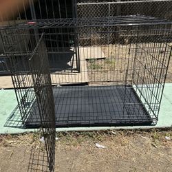 Dog Kennel