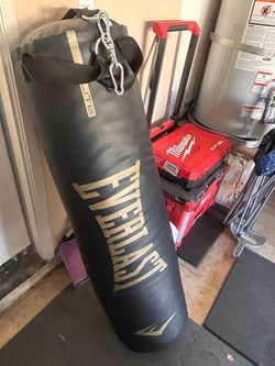 Everlast punching bag