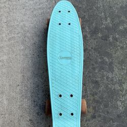 Chicago Skate Board
