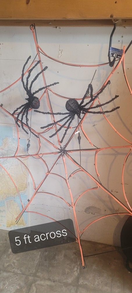 2 spiders on their web! 