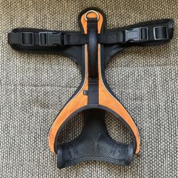Dog harness, and leash
