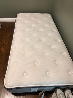 Beautyrest twin mattress