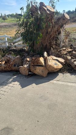 We’re Cutting A Big Eucalyptus Tree. Anybody Wants The Firewood Really Good Nice And Dry. It’s For Free.