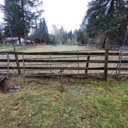 Livestock Gates