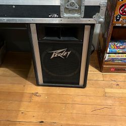 Vintage Peavey Speakers 