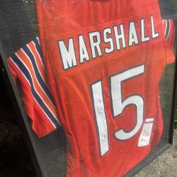 NFL Signed/Framed Bears Jersey