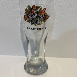 Rainforest Café California Collectible Pilsner Beer Glass 