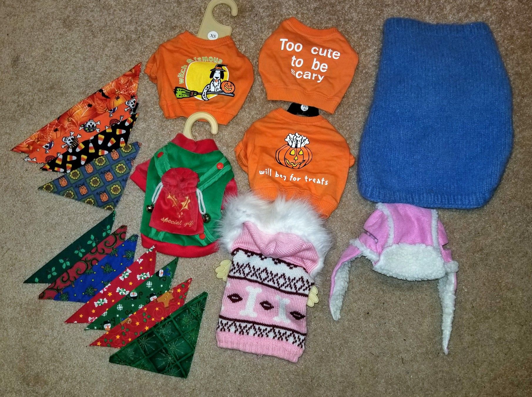 Holiday Costumes