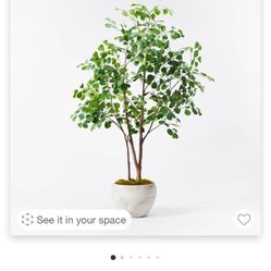 Studio Mcgee 72 “ Inch Ficus Tree-Thershold