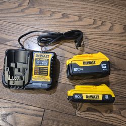 Brand New Dewalt battery+charger