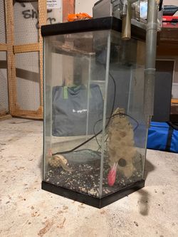 Fish tank