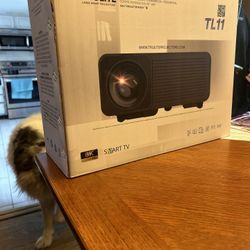 High performance laser smart projector with Motorized Screen