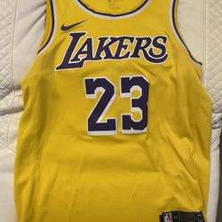 LeBron James Lakers Jersey (Large)