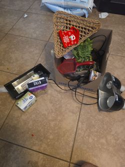 Lights used for a bearded dragon