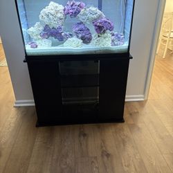 Fish tank And Stand Only! 