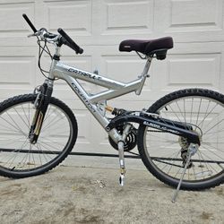 Adult Mountain Bike