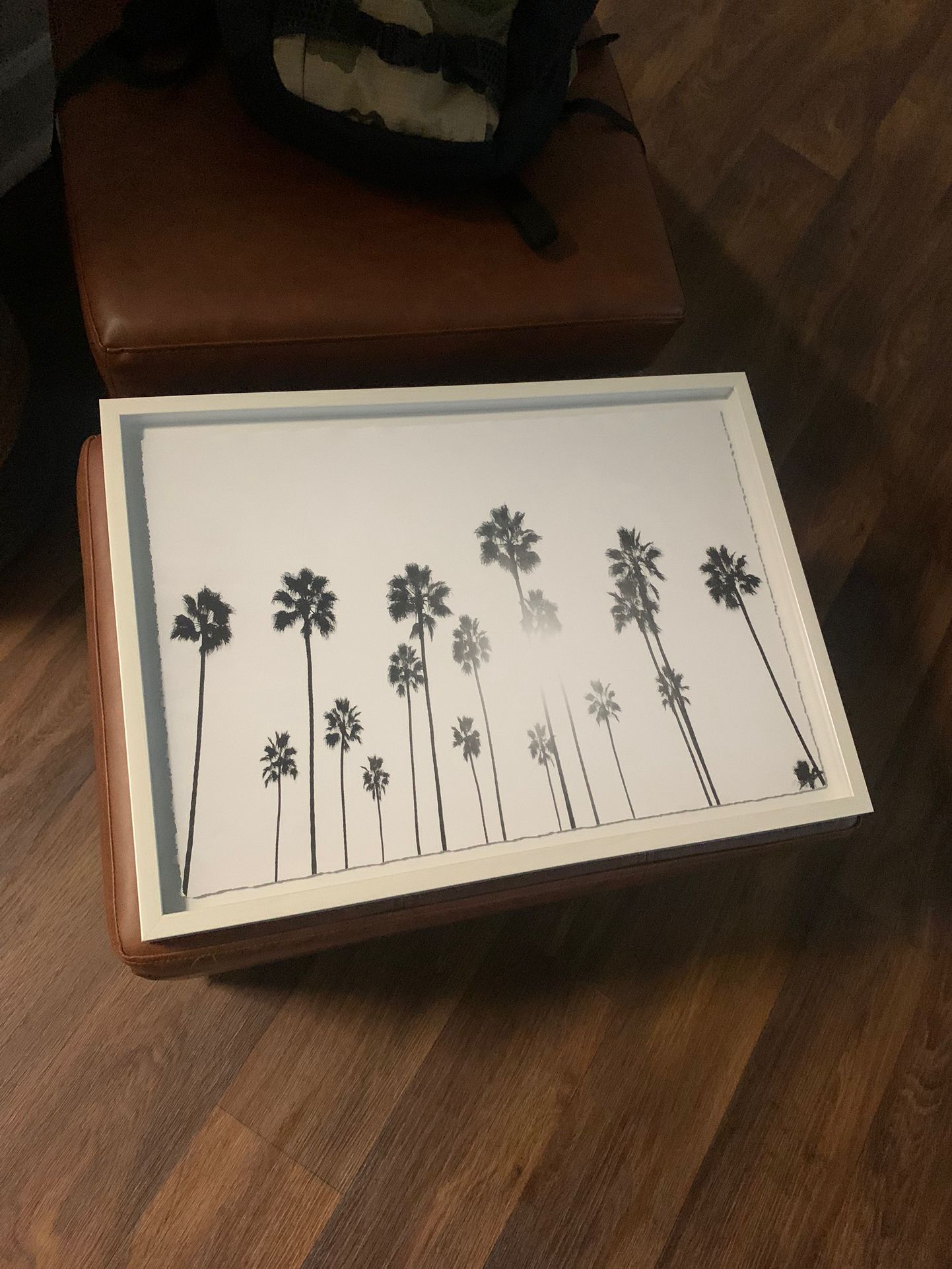 Framed Photos