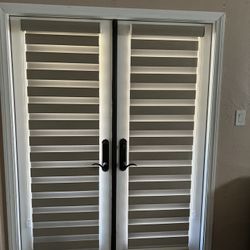 Zebra Shades 